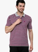 Cotton County Premium Purple Striped Polo T-Shirts