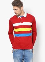 Turtle Red Striped Polo T-Shirts
