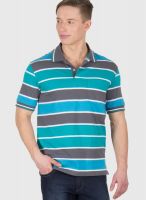 Wilkins & Tuscany Aqua Blue Striped Polo T-Shirts