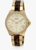 Fossil Am4499 Brown/Golden Analog Watch