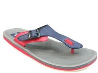 Adda 1grey/Navy Flip Flops