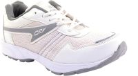 Porcupine Laced Running Shoes(White, Grey)