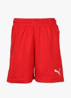 Puma Red Shorts