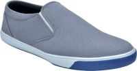 Fentacia Sneakers(Grey)