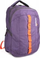 American Tourister Encarta Laptop Backpack(Purple)