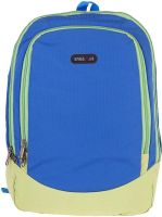 BagsRus BP109FCY 22 L Backpack(Blue)