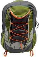 Donex 5872A 31 L Medium Backpack(Green)