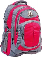 Fabion 1361 Pink N Grey 33 L Large Backpack(Pink n Grey)
