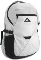 Fastrack Backpack(Grey)