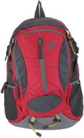 Novex Amor 30 L Medium Backpack(Red)