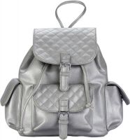 The Zoya Life Jack 2 L Backpack(Silver)