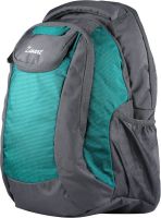 Zwart Cosmo 25 L Free Size Backpack(Black & Green)