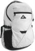 Fastrack_Backpack_Grey_Size_17.jpg