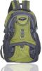 Somada_Standard_25_L_Backpack_Green.jpg