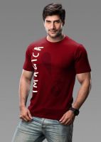 Imagica Printed Men's Round Neck Maroon T-Shirt