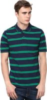 Mudo Striped Men's Polo Neck Green, Blue T-Shirt