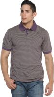 Tempt Striped Men's Polo Neck Purple T-Shirt