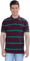 The Cotton Company Striped Men's Polo Neck Purple, Green T-Shirt