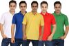 Larwa_Solid_Men_s_Polo_Neck_T_Shirt_4.jpg