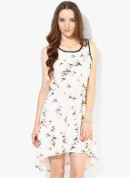 Ginger By Lifestyle Off White Colored Printed Shift Dress