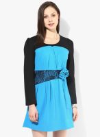 JC Collection Blue Colored Solid Skater Dress