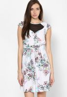 Lola Skye Purple Colored Printed Skater Dress