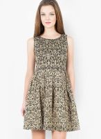 The Vanca Beige Colored Printed Skater Dress