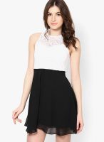 Zink London Black Colored Solid Skater Dress