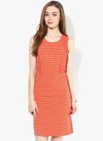 AND Orange Colored Printed Bodycon Dress