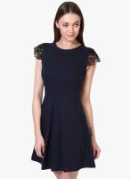 Besiva Navy Blue Colored Embroidered Skater Dress