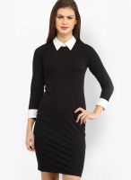 Cation Black Colored Solid Bodycon Dress