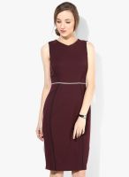 Dorothy Perkins Purple Colored Solid Bodycon Dress