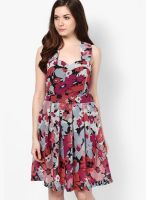 Hapuka Multicoloured Printed Skater Dress
