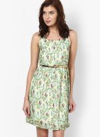 Mineral Green Colored Printed Skater Dress