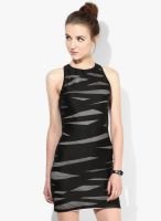 Miss Selfridge Black Colored Striped Bodycon Dress