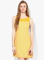 People Yellow Colored Striped Shift Dress