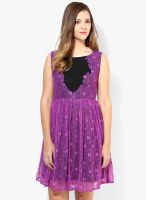 Soie Purple Sleeveless Lace Dress