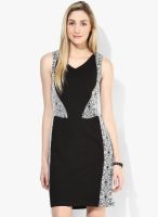 AND Black Colored Printed Bodycon Dress
