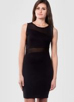 Miss Chase Black Colored Solid Bodycon Dress