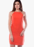 Miss Chase Orange Colored Solid Bodycon Dress