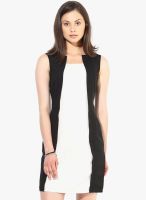 The Vanca Black Colored Solid Bodycon Dress