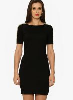 Miss Chase Black Colored Solid Bodycon Dress