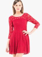 Kazo Red Colored Embroidered Skater