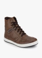 Knotty Derby Carrow Brown Sneakers