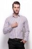 Grasim_Men_s_Striped_Formal_Shirt_3.jpg