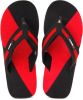 Sparx_Slippers.jpg