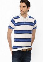 Basics Blue Striped Polo T-Shirts