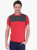 Basics Red Solid Polo T-Shirt