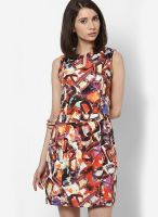 Calgari Multicoloured Printed Shift Dress