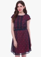 Colors Couture Navy Blue Colored Printed Shift Dress